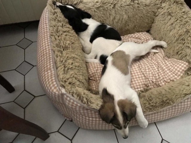 ...die anderen schlafen"noch"unten