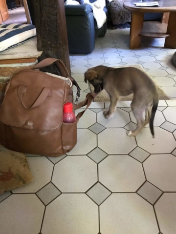 Taschendieb mal anders