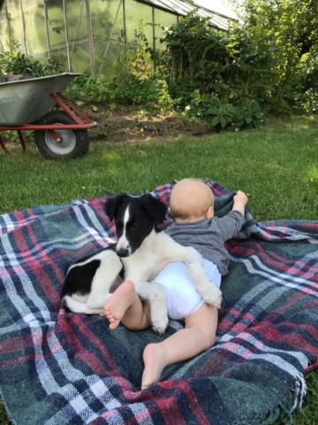 uns als Beschützer für Fiete