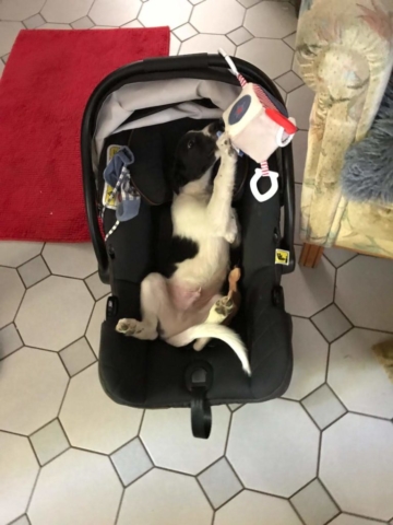 Karl hat kurz getauscht