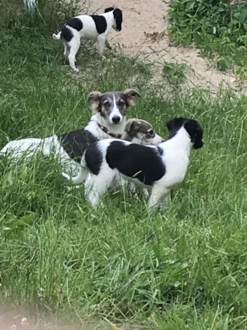 ....auch mit Tante Luise