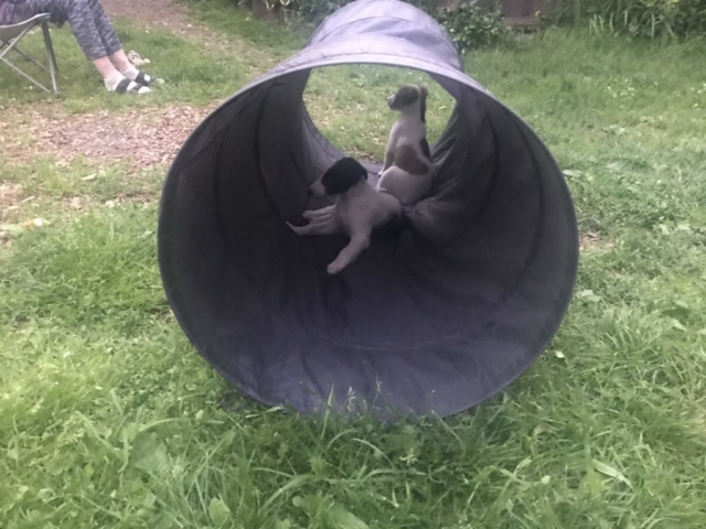 ....da passen sogar alle rein incl. Luise