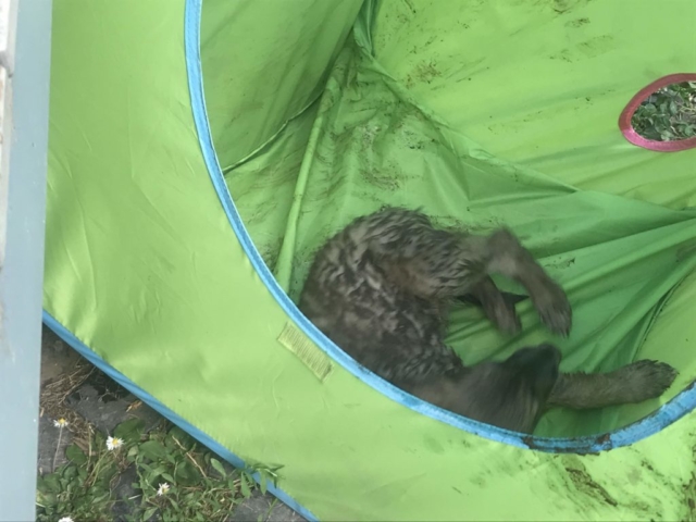 .....auch da wird man nicht wirklich trocken