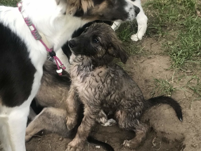 ......jetzt auch waterproof