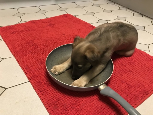 vorher ist das ding immer weggerutscht