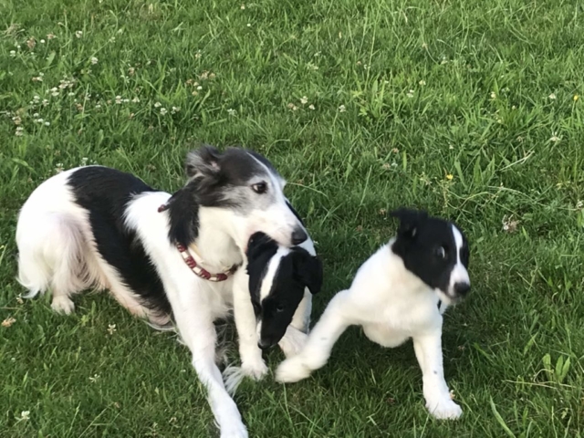 aber draußen ist es am schönsten