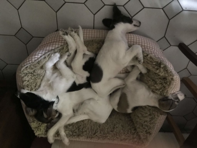 die Luft ist raus.....es ist furchtbar warm