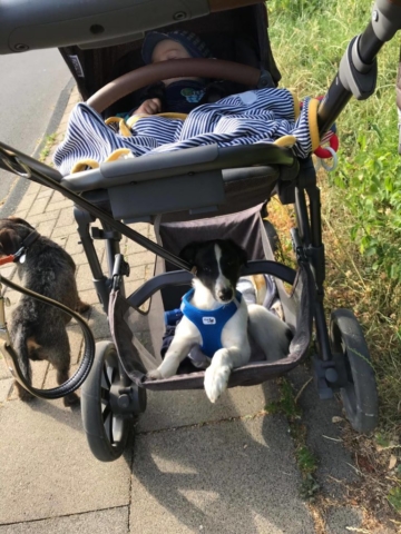 das Angenehme mit dem Nützlichen verbinden