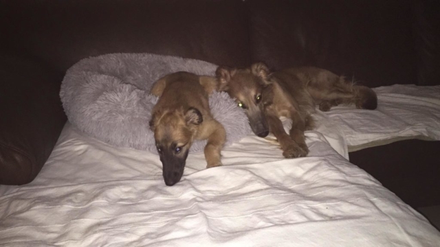 5e55c694-bda1-49a9-adda-0795cc94eae7