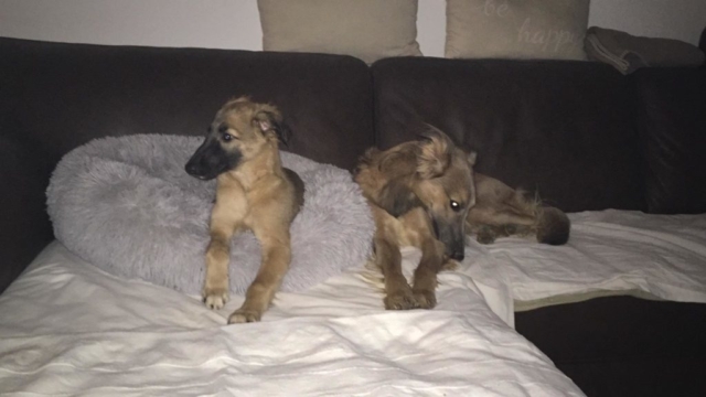 6a27cb13-42a8-4ba0-bd98-6d61b335356a