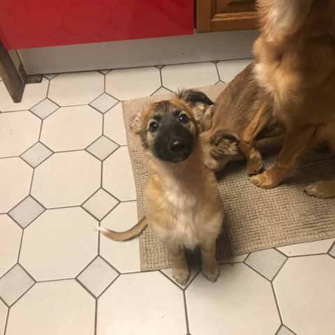 das letzte Abendessen morgen Abend in Starnberg