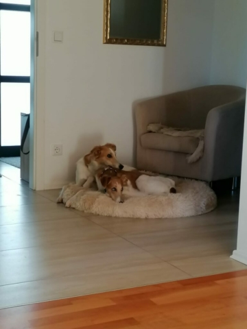 Herrenrunde Miko und Yari