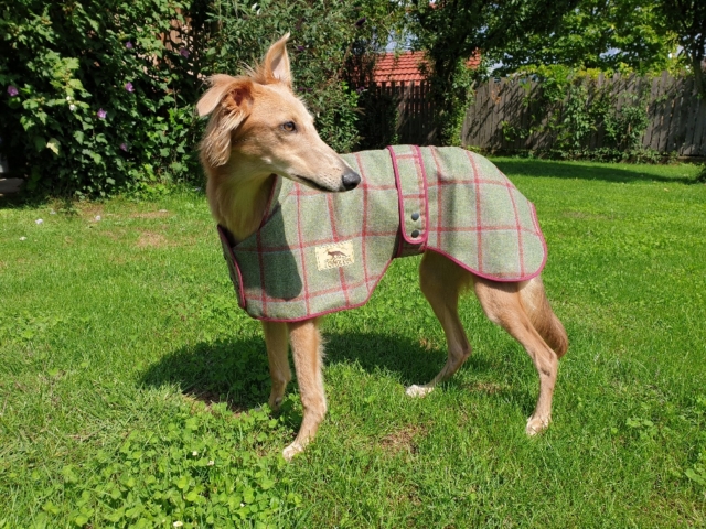 Colin übt für den Winter