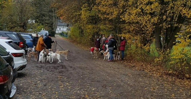 los geht es in Solingen Fähr