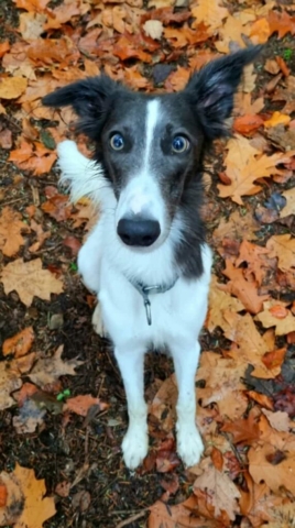 ganz die Mama Millie