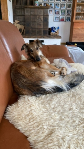 und ein schläfrige Nanu