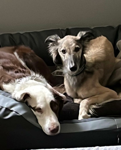 Theo und sein Kalle Freund