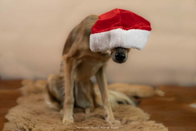 so wird das nix mit dem Stiefel füllen