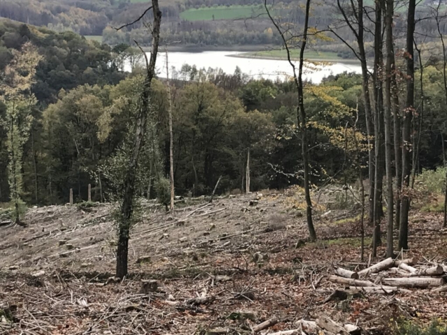 schöne Wanderung an der Dhünn Talsperre