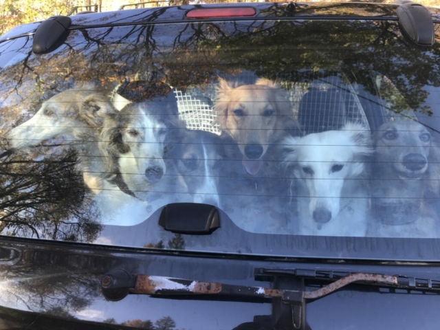 fertig, nächsten Sonntag wieder