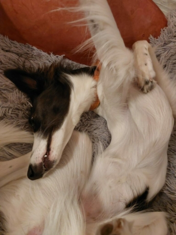 so liegen nur Windis