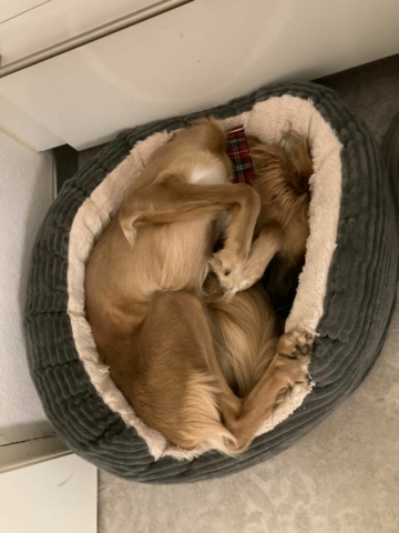 es geht einfach alles