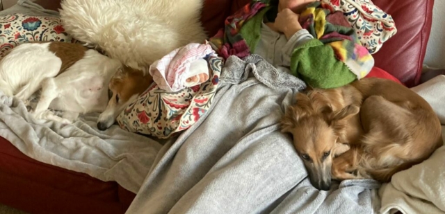 so lässt es sich genießen