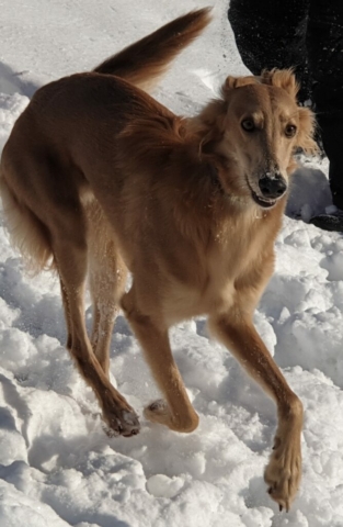 so ein hübscher Junge