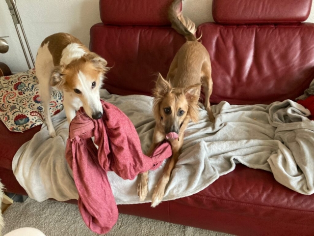 freche Judy mit ihrem Freund