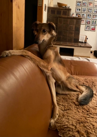 Chef auf dem Sofa, Nanu