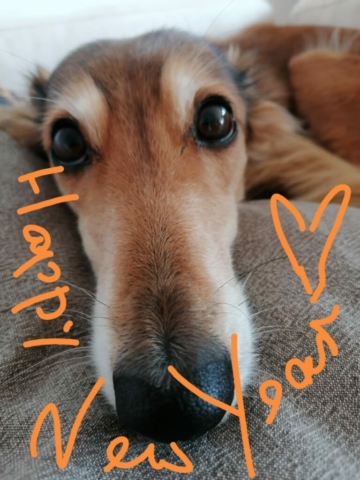 das wünsche ich dir auch Suri und allen anderen lieben Menschen auch !!!!