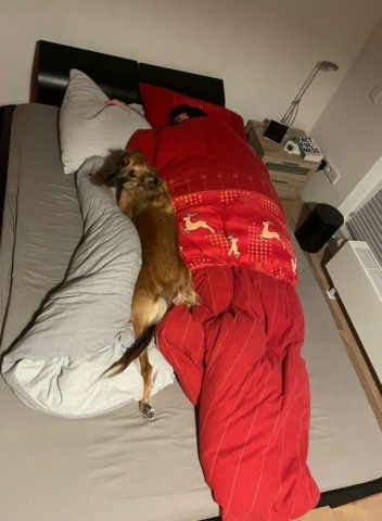 so schläft es sich am Besten