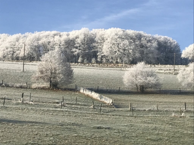 sooo schön, es sieht aus wie Schnee, ist aber nur Reif
