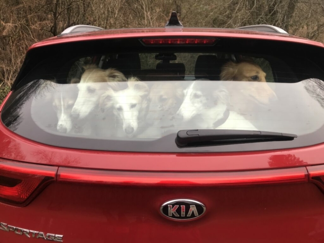 mein neues Auto und alles passt rein