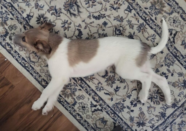 angekommen erstmal lang machen