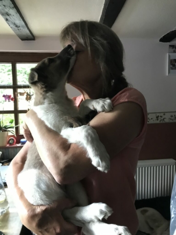 Abschied von meinem Prinzen