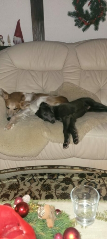 Jule und Amira