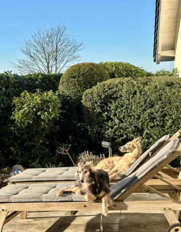 Sonnenanbeter
