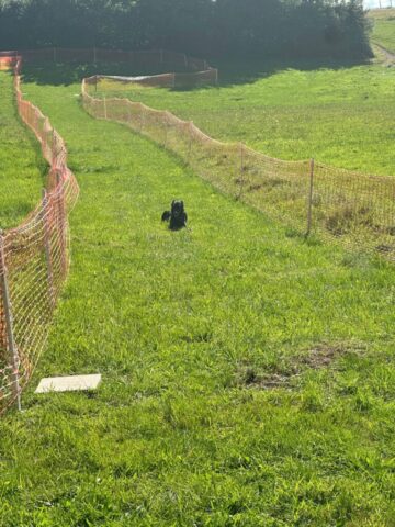 geht nicht nur zum rennen