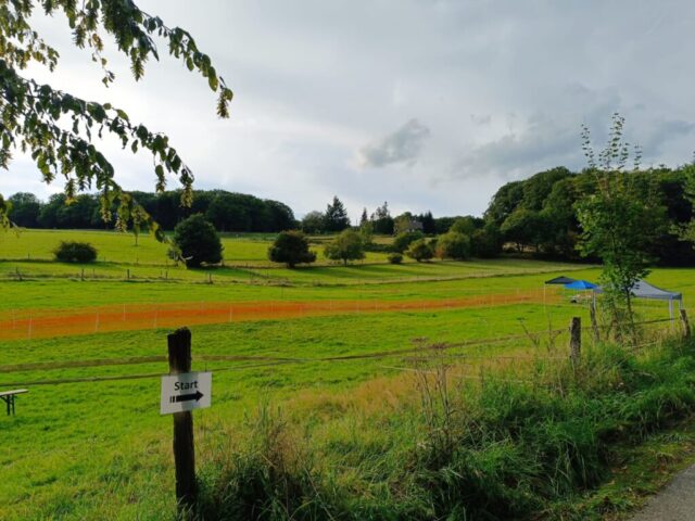 jetzt nur noch Feinheiten