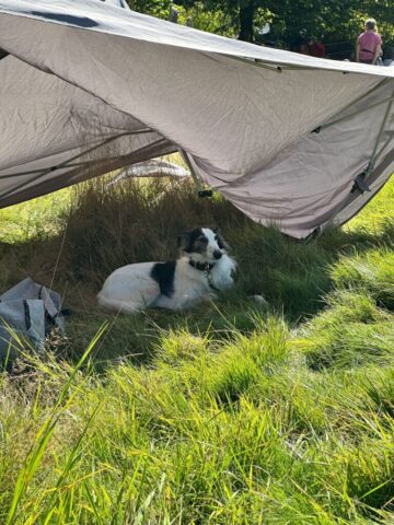 kaputtes Zelt tut auch seinen Dienst
