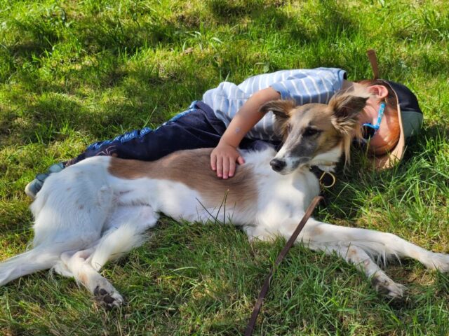 Powernapping vor dem Start