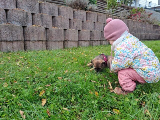 76a3f590-501b-44df-939f-a78f313a1faf