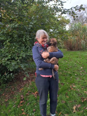 88062bcf-b6dc-49ea-a55a-941c047a10db