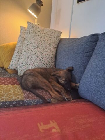 9447368f-ee2b-4b45-929c-d69e76405ddc