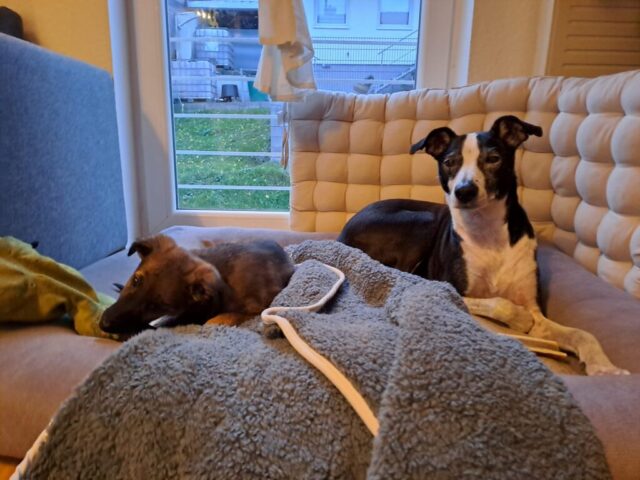 a83a6d64-524f-4ad5-885f-3b32b8105947