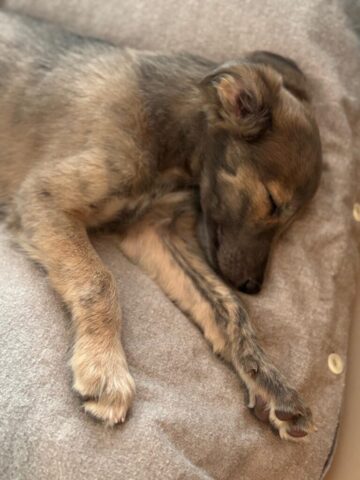 a8ab23e8-da4b-4dd7-8ed7-0a3ad05beb20