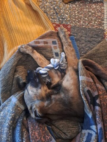 e5b89b9a-6ca7-473f-af86-15be9f479491