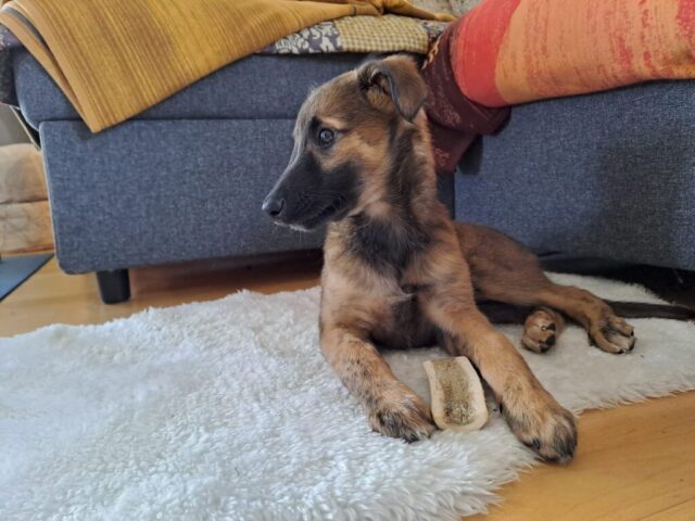 e92e8672-16af-4b07-a6f7-f478b7204d0d