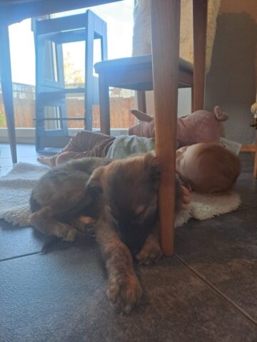 f326cf9d-58f9-42b1-b129-749bb1aaf1ef